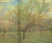 Vincent Van Gogh The White Orchard (nn04) oil painting picture wholesale